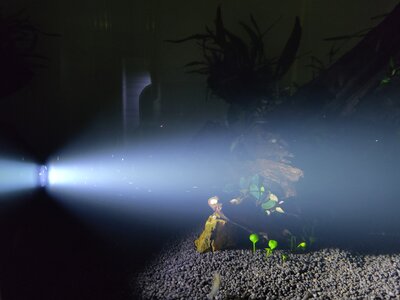 links unten Kies.jpg