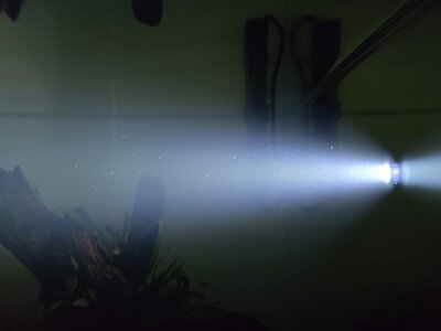 rechts oben Kies.jpg