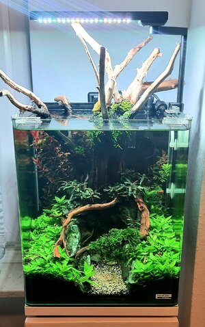 WhatsApp Bild 2025-10-26 um 07.48.04_e0529d0d.jpg