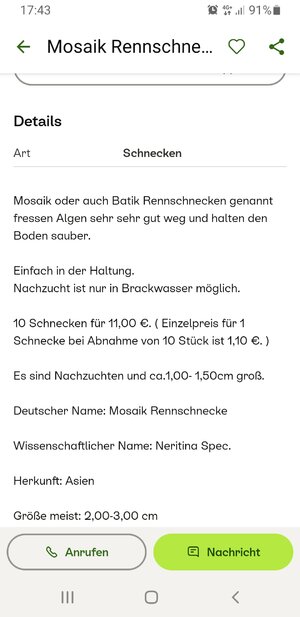 Screenshot_20251028-174343_Kleinanzeigen.jpg