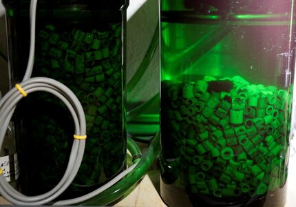 Tonröhrchen Filterausgang 22.06.24 .jpg Tonröhrchen Filterausgang 22.06.24 .jpg