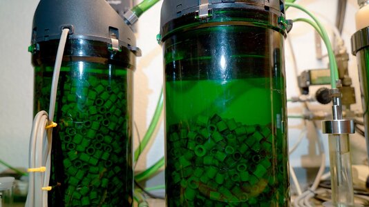 Eheim-2315 Filterreinigung 30.10.2025.jpg Eheim-2315 Filterreinigung 30.10.2025.jpg