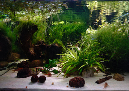 281124 2.jpg 281124 2.jpg