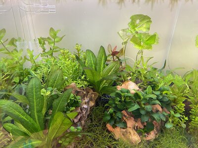 1 - Gesamtsicht vorne.jpg