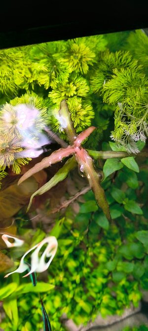 WhatsApp Image 2025-11-06 at 18.52.55 (1).jpeg