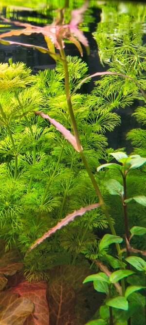 WhatsApp Image 2025-11-06 at 18.52.55.jpeg