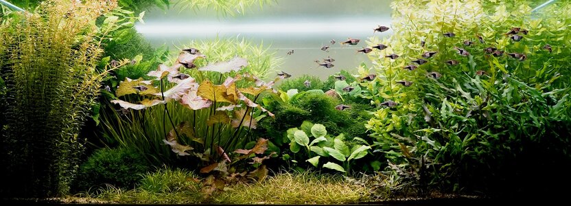 Aquarium 07.11.2025-1.jpg