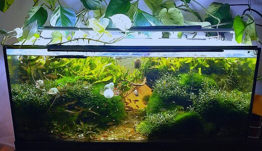 WhatsApp Bild 2025-11-20 um 18.16.19_df7e89f8.jpg