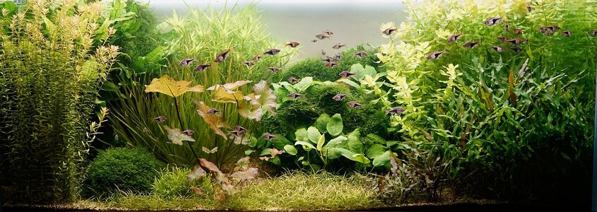 Aquarium 27.11.2025.jpg