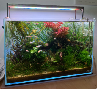 Bildschirmfoto 2025-12-15 um 13.04.47.png Bildschirmfoto 2025-12-15 um 13.04.47.png