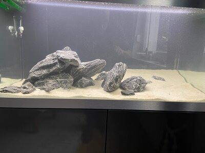 24-12-10 14-05-13 1888.jpg