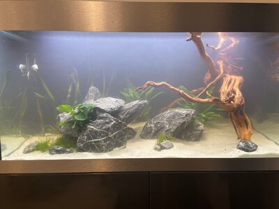 24-12-14 18-34-44 1915.jpg