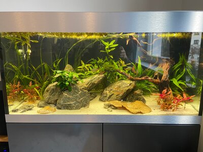 25-01-10 12-55-44 2110.jpg