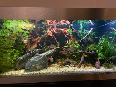 25-12-27 21-34-55 3472.jpg