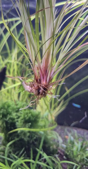 WhatsApp Image 2026-01-04 at 13.23.01.jpeg