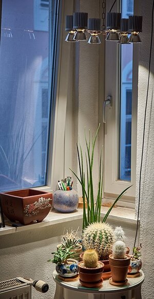 2018.08.07_18-25-46.jpg 2018.08.07_18-25-46.jpg