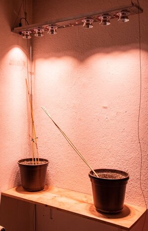 2020.03.06_17.50.02.jpg 2020.03.06_17.50.02.jpg