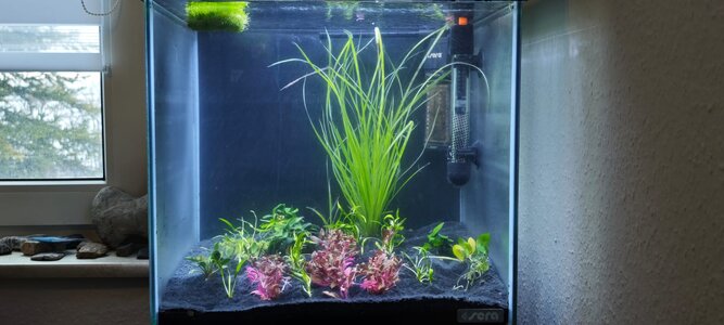 WhatsApp Image 2026-01-09 at 15.18.54 (2).jpeg