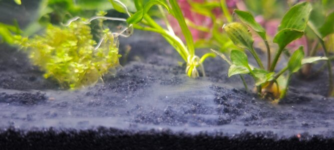 WhatsApp Image 2026-01-09 at 15.18.53.jpeg