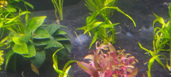 WhatsApp Image 2026-01-09 at 15.18.54.jpeg