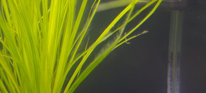 WhatsApp Image 2026-01-09 at 15.18.53 (1).jpeg