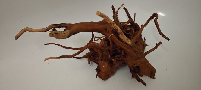 WhatsApp Image 2026-01-10 at 10.40.57.jpeg