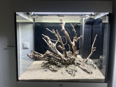 IMG_8857.jpeg IMG_8857.jpeg