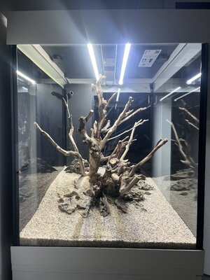 IMG_8858.jpeg IMG_8858.jpeg