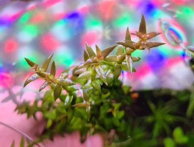 20260114_213623.webp 20260114_213623.webp