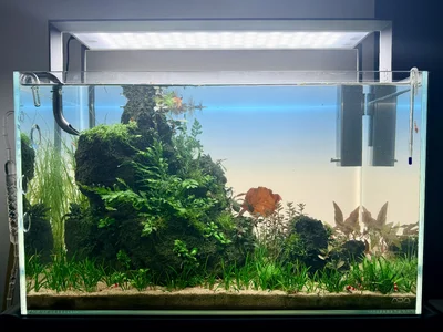 IMG_9862.webp IMG_9862.webp