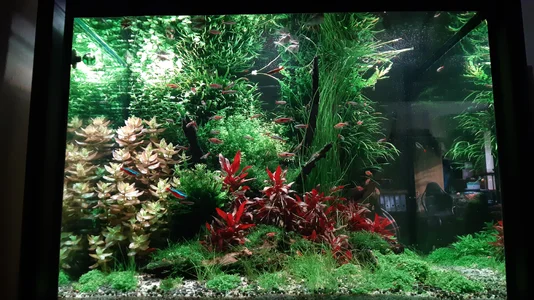 20260124_114627.webp 20260124_114627.webp