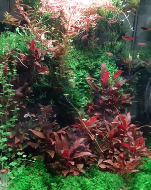 1111111111.webp 1111111111.webp