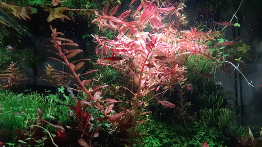 20260124_114735.webp 20260124_114735.webp