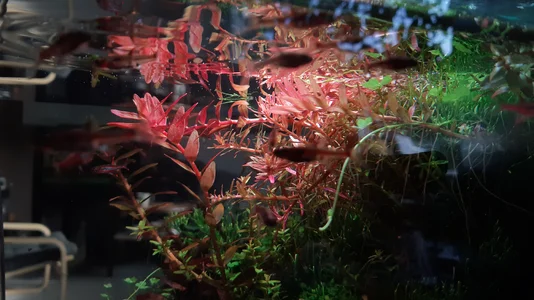 20260124_114812.webp 20260124_114812.webp