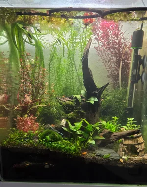 WhatsApp Image 2026-01-29 at 09.00.36.webp