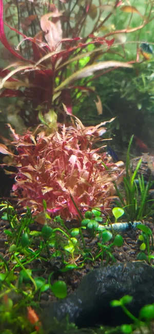 WhatsApp Image 2026-01-29 at 09.00.37 (1).webp