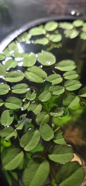 WhatsApp Image 2026-01-29 at 09.00.37 (2).webp