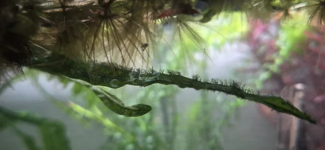 WhatsApp Image 2026-01-29 at 09.17.36.webp