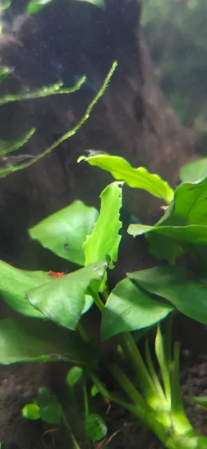 WhatsApp Image 2026-01-29 at 09.00.37.webp