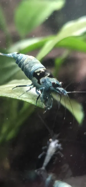 WhatsApp Image 2026-01-29 at 09.15.46.webp