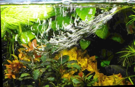 Eheim Aquaball Diffusor 2.webp