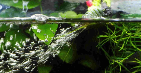 Eheim-Diffusor Aquaball 1.webp