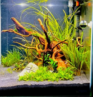 WhatsApp Image 2026-02-09 at 17.08.27.webp