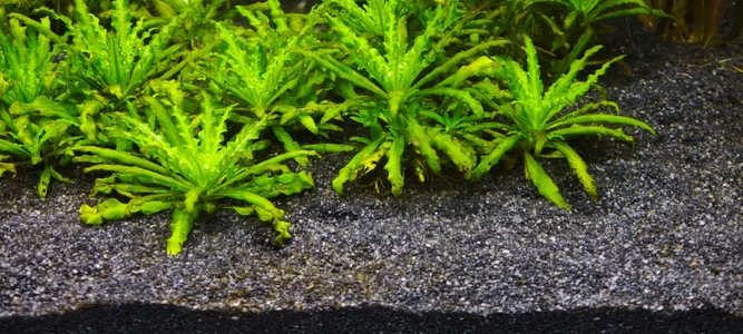 WhatsApp Image 2026-02-09 at 16.53.25 (1).webp