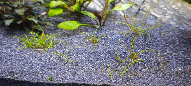 WhatsApp Image 2026-02-09 at 16.53.25 (2).webp