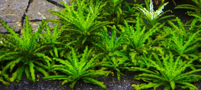 WhatsApp Image 2026-02-09 at 16.53.25.webp