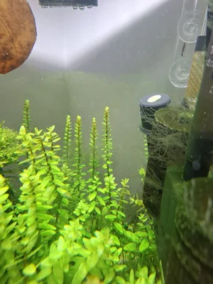 WhatsApp Image 2026-02-14 at 21.20.29 (1).webp