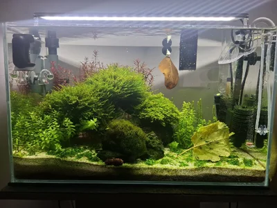 WhatsApp Image 2026-02-14 at 21.20.29.webp