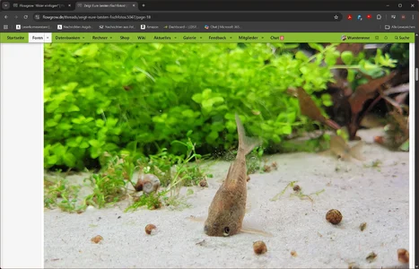 Screenshot 2026-02-19 214157.webp