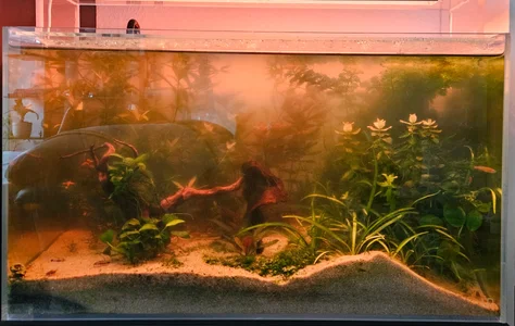 12-30 Sonnenaufgang.webp